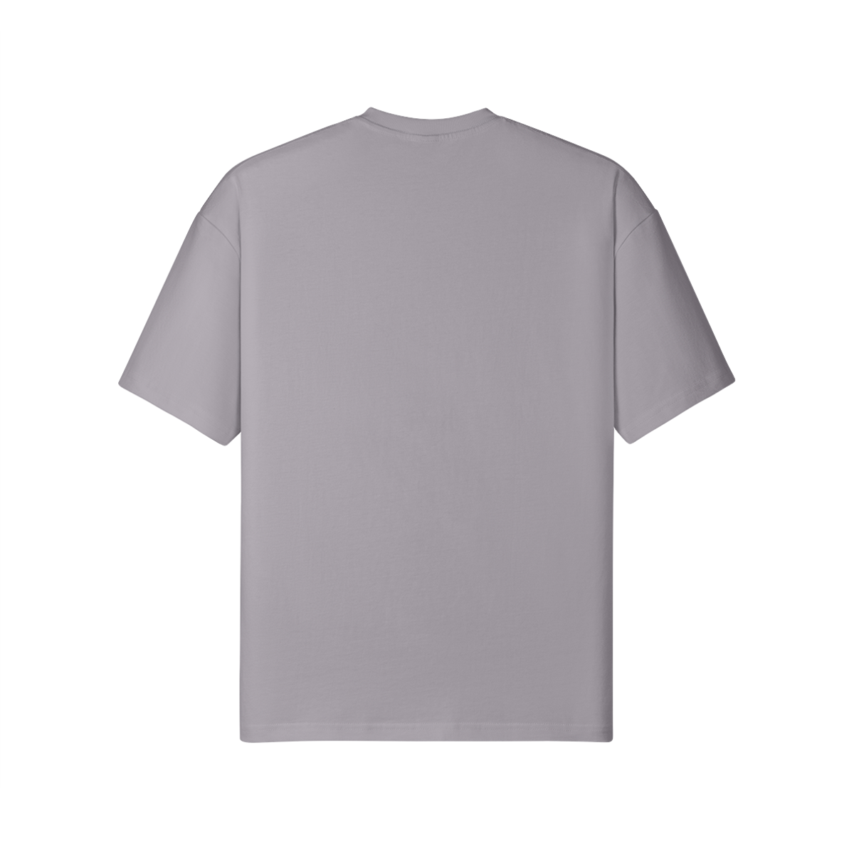 'Physical Reality' T Shirt [gry].